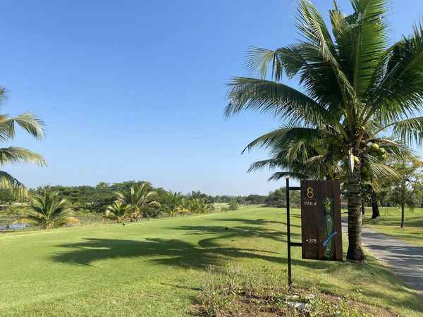 สนามกอล์ฟหริภุญชัย กอล์ฟคลับ golf golf cart horizon grass and golf course
