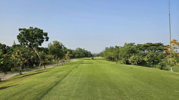 สนามกอล์ฟหริภุญชัย กอล์ฟคลับ golf golf cart golf course and grass