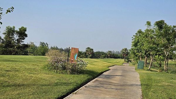 สนามกอล์ฟหริภุญชัย กอล์ฟคลับ grass horizon road tree and fog