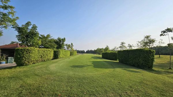 สนามกอล์ฟหริภุญชัย กอล์ฟคลับ golf course tree and grass