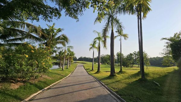 สนามกอล์ฟหริภุญชัย กอล์ฟคลับ tree fog road and grass