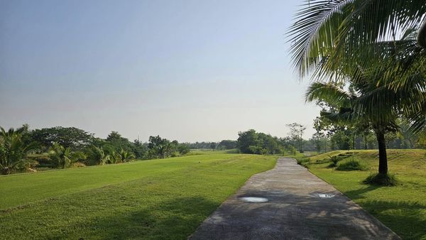 สนามกอล์ฟหริภุญชัย กอล์ฟคลับ golf course fog grass tree horizon and road