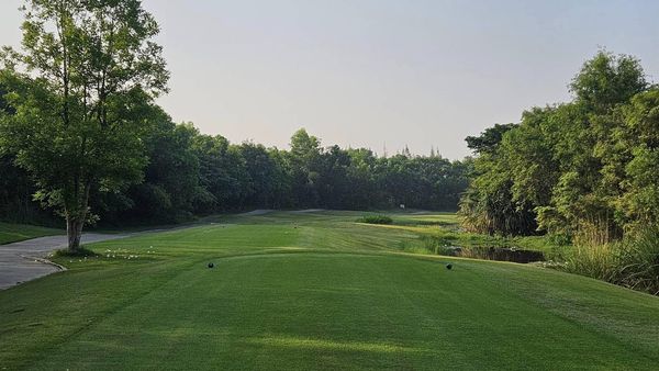 สนามกอล์ฟหริภุญชัย กอล์ฟคลับ golf golf cart fog grass tree and golf course