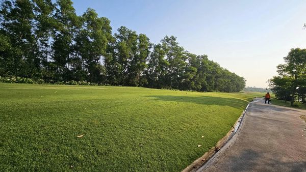 สนามกอล์ฟหริภุญชัย กอล์ฟคลับ 1 person golfing golf cart grass and golf course