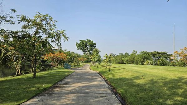 สนามกอล์ฟหริภุญชัย กอล์ฟคลับ road tree and grass