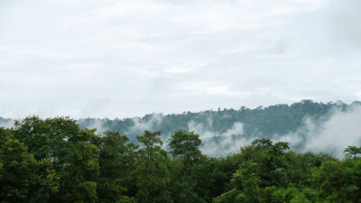 As the rainy season is nearing its end, the majestic Khao Yai mountain prepare itself for the approaching winter with thick veils of mist. And those who visit this place around this time will be welcomed with a mystic vibe on their sightseeing trip, getti