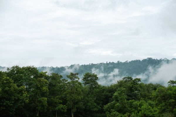 Kirimaya Khao Yai fog and nature