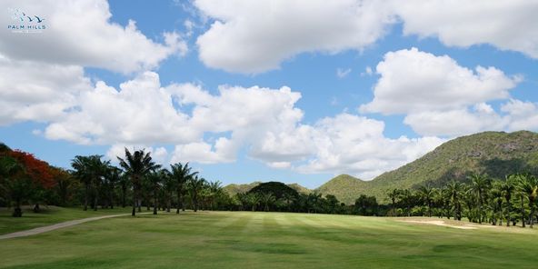 Palm Hills Golf Club amp Residence golf grass and golf course