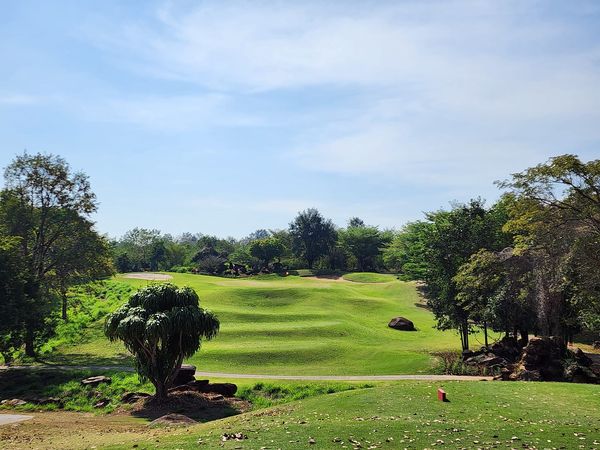 Mountain Creek Golf Resort And Residences grass golf course and tree