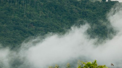 The grounds around Khao Yai say goodbye to the dry weather and welcome midyear visitors with drizzles of rain. During this rainy season, pay Khao Yai a visit and wake up early to find yourselves greeted with a mystical veil of mist in the morning.