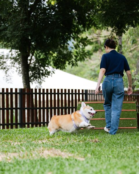 Kirimaya Khao Yai 1 person dog and grass