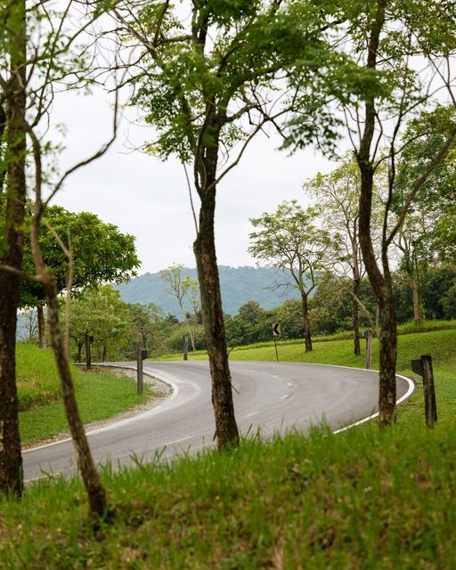 Kirimaya Khao Yai road and grass