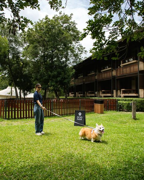 Kirimaya Khao Yai 1 person frisbee and grass