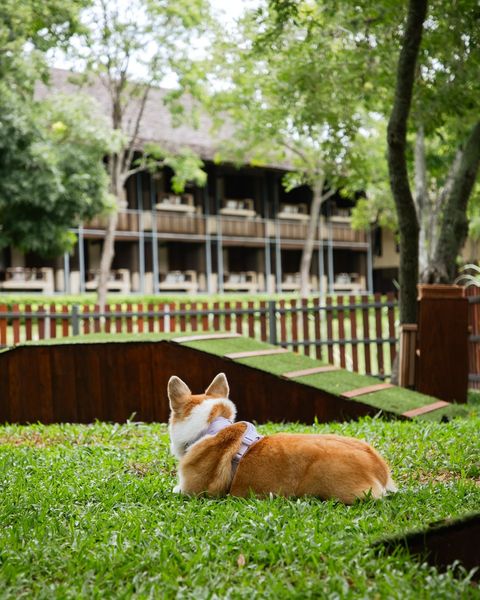 Kirimaya Khao Yai