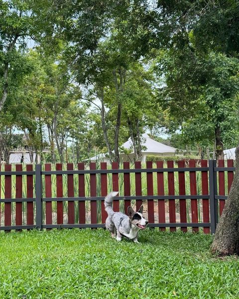 Kirimaya Khao Yai nbsp grass-3