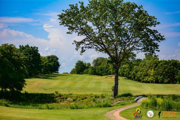 Panoramagolfclub tree grass nature and golf course Panoramagolfclub tree grass nature and golf course