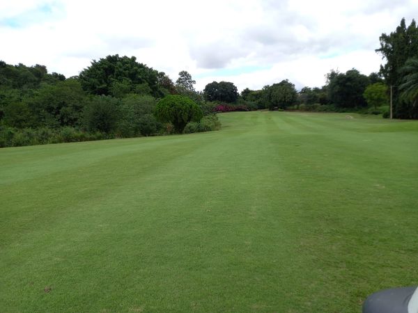 Panoramagolfclub พื้นหญ้า และ สนามกอล์ฟ