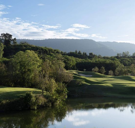 Toscana Valley golf course tree and nature