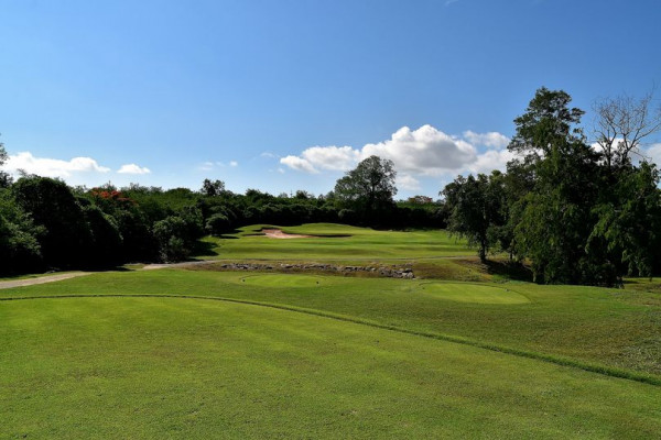 Panoramagolfclub golf course nature grass and tree