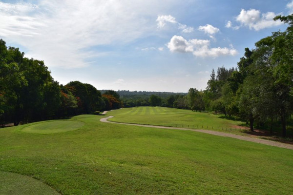 Panoramagolfclub grass nature tree and golf course