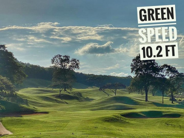 Khao Yai Country Club grass tree and GREEN SPEED 10 2FT
