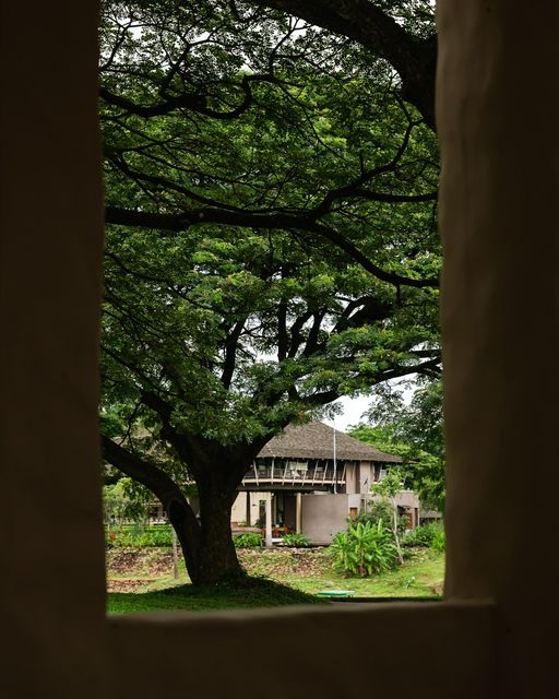 Kirimaya Khao Yai outdoors and tree
