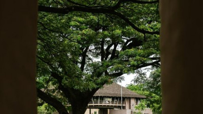 Kirimaya contains a great number of areas with towering trees spreading their branch and leaves to cover the sky, casting shades and cool atmosphere for mind refreshing air. Coming here, you'll be able to feel the winter of Khao Yai like never before.