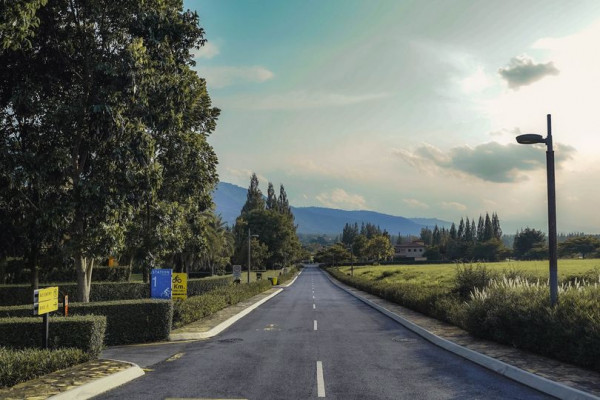 Toscana Valley road cloud tree and nature