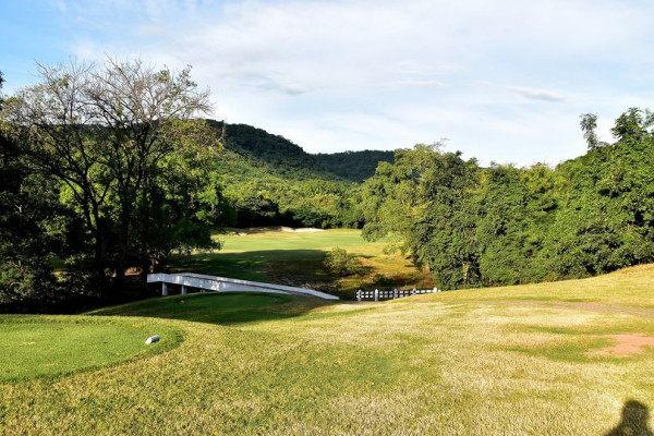 Panoramagolfclub grass golf course tree and nature