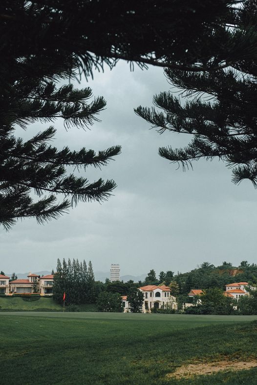 Toscana Valley sky tree and nature