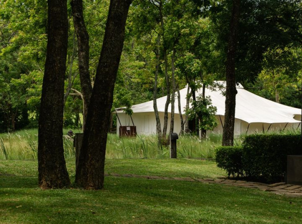 Kirimaya Khao Yai nature tree and grass