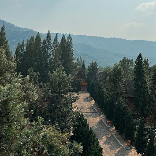 Toscana Valley tree and nature