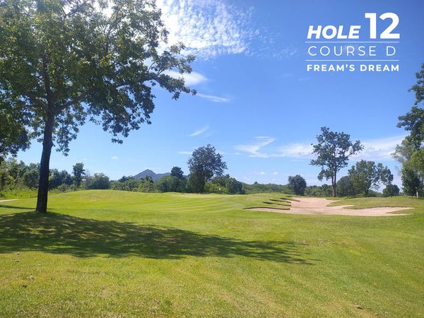 Lake View Resort amp Golf Club golf course nature grass tree and HOLE 12 COURSE FREAM S DREAM