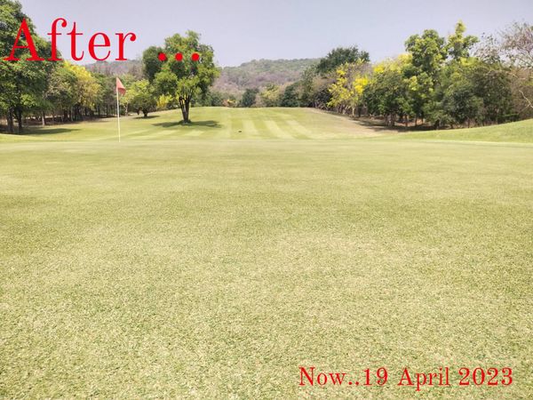 Panoramagolfclub golf grass golf course and After Now 19 19 April 2023