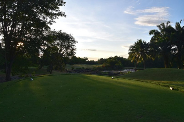 Panoramagolfclub golf grass twilight tree and golf course