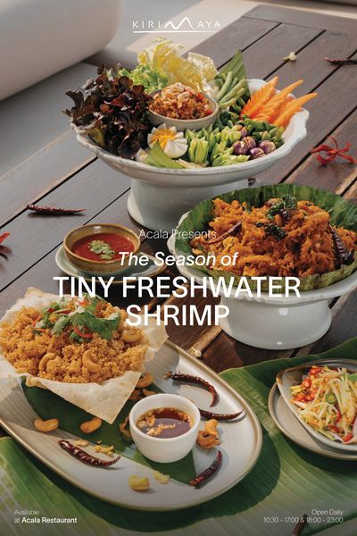 Kirimaya Khao Yai KIRIMAYA KIRI MAYA Acala Presents The Season of TINY FRESHWATER SHRIMP 1 Available A Acala Restaurant Open Daily 10 30 17 00 18 00 23 00