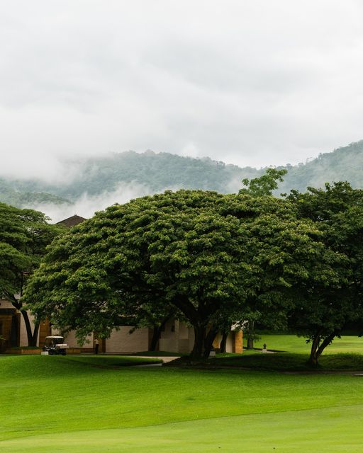 Kirimaya Khao Yai grass golf course and tree