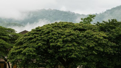 The atmosphere of Khao Yai is filled with green forest and open sky. And whenever a welcoming rain passes by, there will be a thin veil of fog that gives away a mystical vibe covering everywhere the mountain range. Pay Kirimaya a visit and get a feel of s