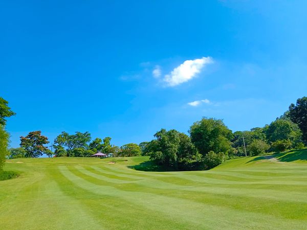 Panoramagolfclub golf golf cart and golf course