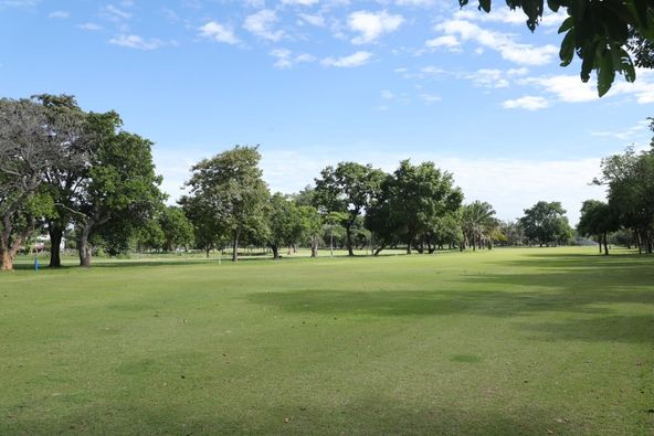 Tiger Wing 1 Golf Club golf tree golf course and grass