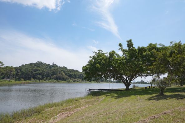 Chatrium Golf Resort Soi Dao Chanthaburi tree nature sky and lake