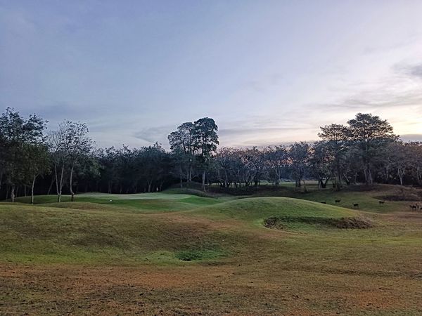 Wangjuntr Golf Park nature grass tree and golf course