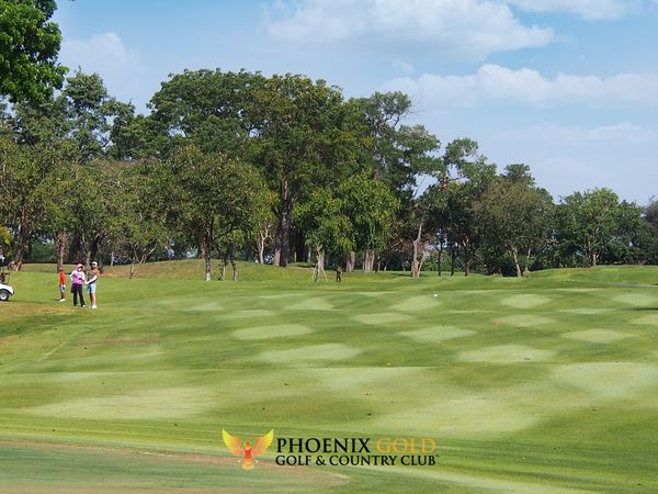 Phoenix Gold Golf amp Country Club 6 people grass golf course and PHOENIX GOLD GOLF COUNTRY CLUB