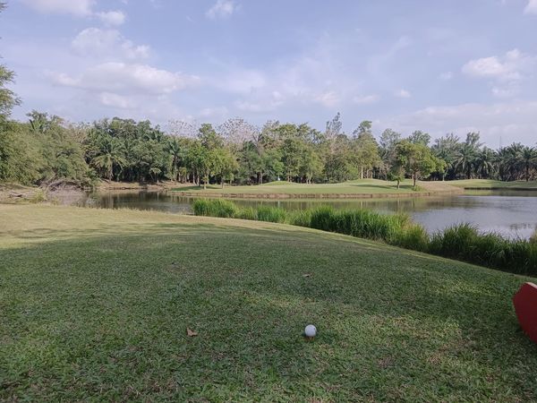 Wangjuntr Golf Park golf course grass and nature