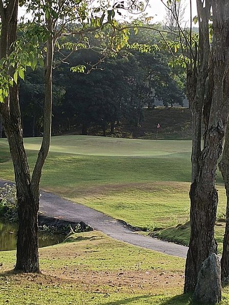 Wangjuntr Golf Park nature grass tree and golf course