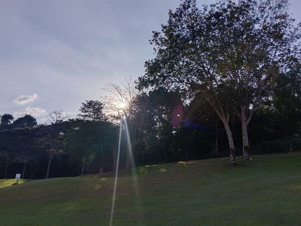 Wangjuntr Golf Park grass tree nature and sky