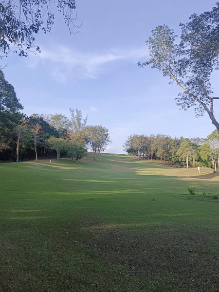 Wangjuntr Golf Park tree nature golf course and grass