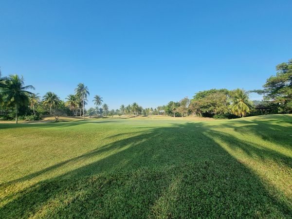 Eastern Star Country Club amp Resort nature grass and palm trees