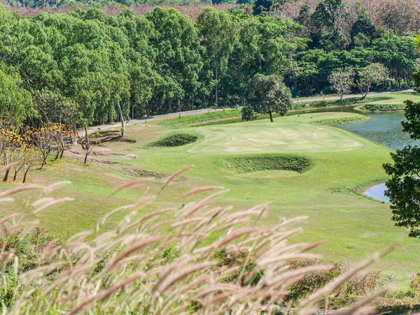 Wangjuntr Golf Park nature and grass