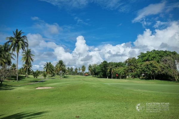 Eastern Star Country Club amp Resort palm trees nature cloud and grass